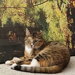 Meet your Posher, Linda